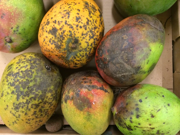 a bunch of rotten fruit with brown spots