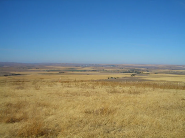 a large open field of dry grass and dry shrubs