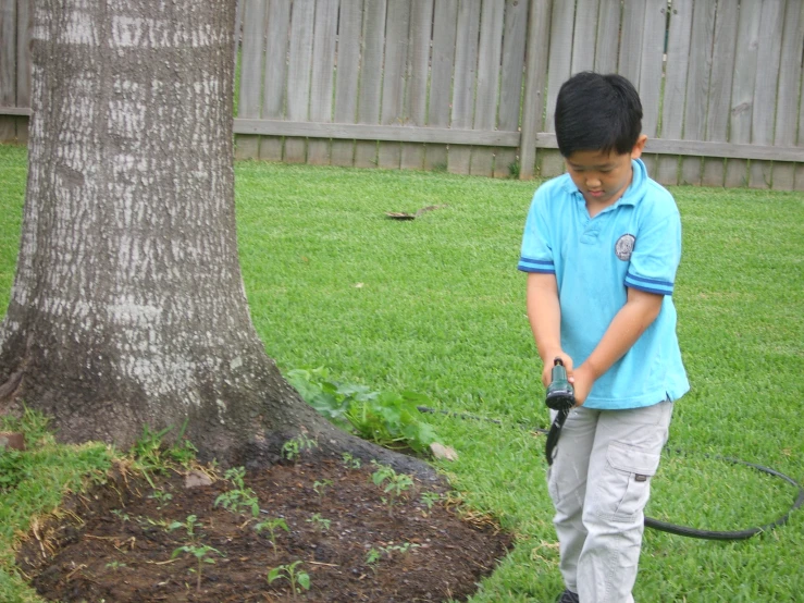 the  is using a cordless pruning machine