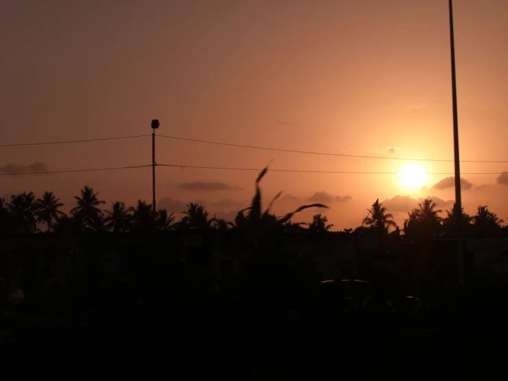 a sun rising behind palm trees in a dark sky