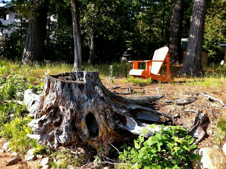 a chair sitting on top of a tree stump