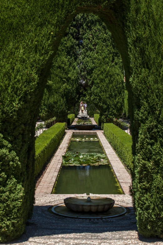 view of the garden in the middle of it through a bridge