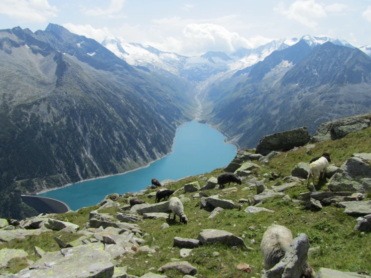 mountain view with lake in the middle of field and rocks