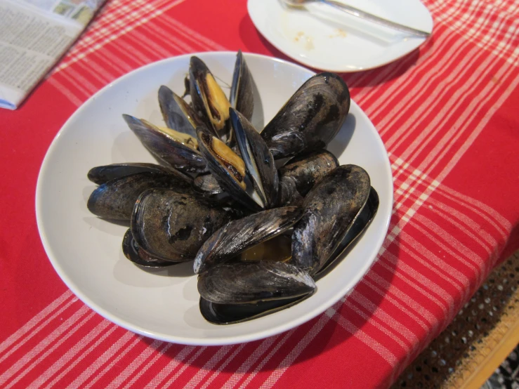 mussels are in white bowls on the red tablecloth