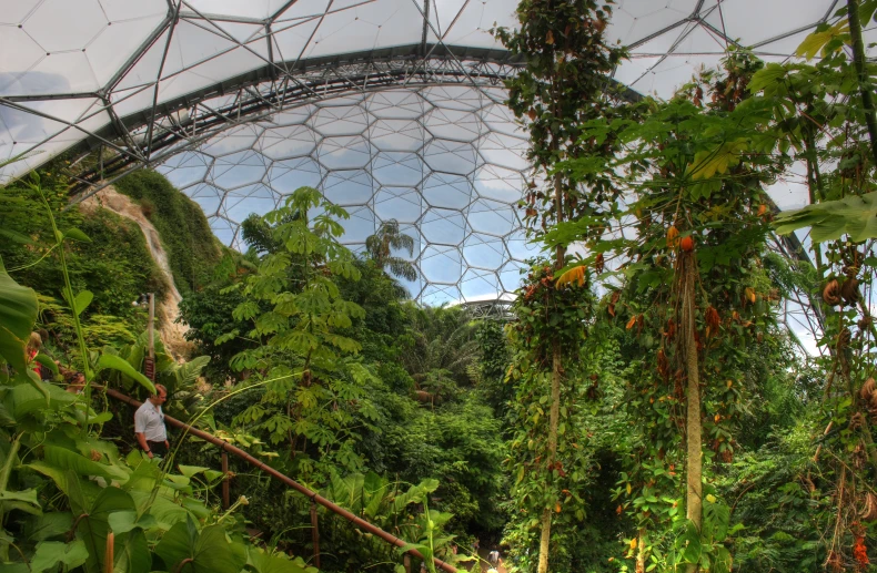 this is an image of a greenhouse