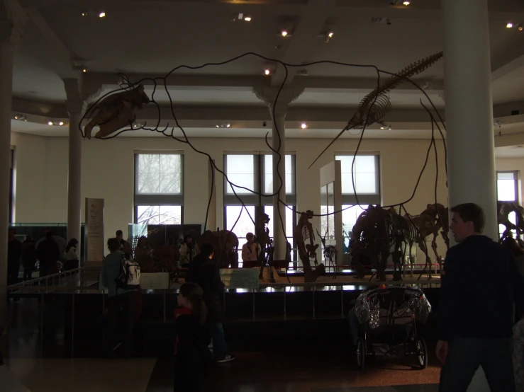 a man walks in front of some animals inside a museum