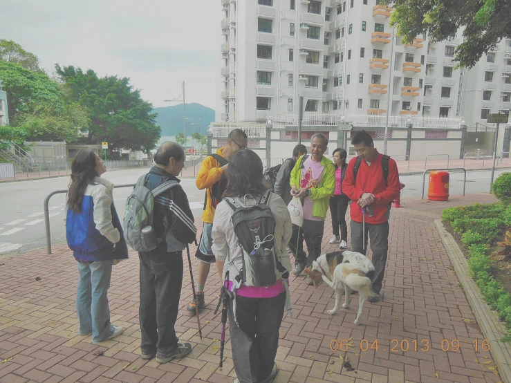 several people walking with their dogs down a sidewalk