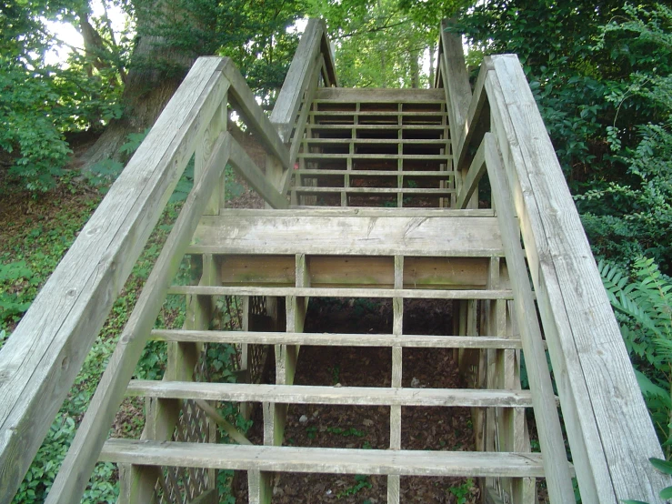 a wooden staircase in the woods leads to an exit