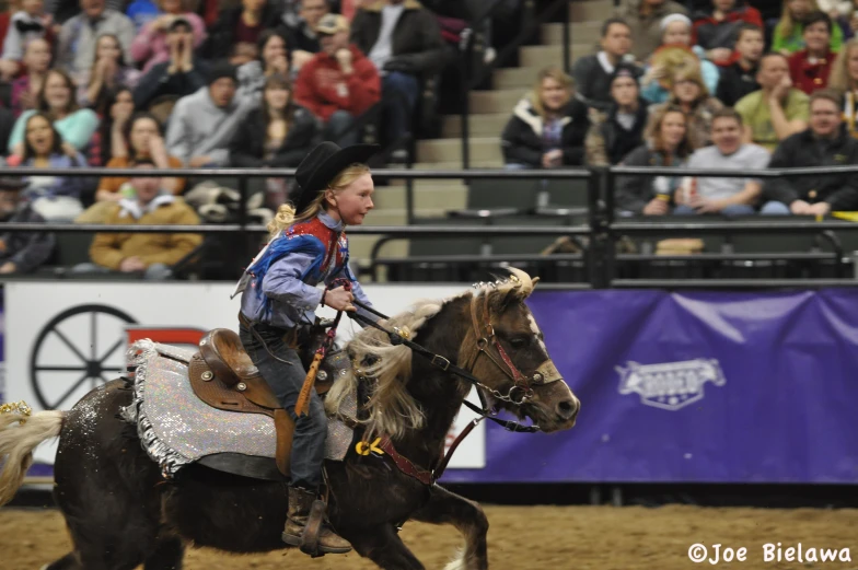 a little girl that is riding a small horse