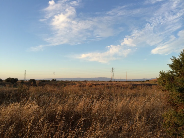 a field with a telephone tower in the distance