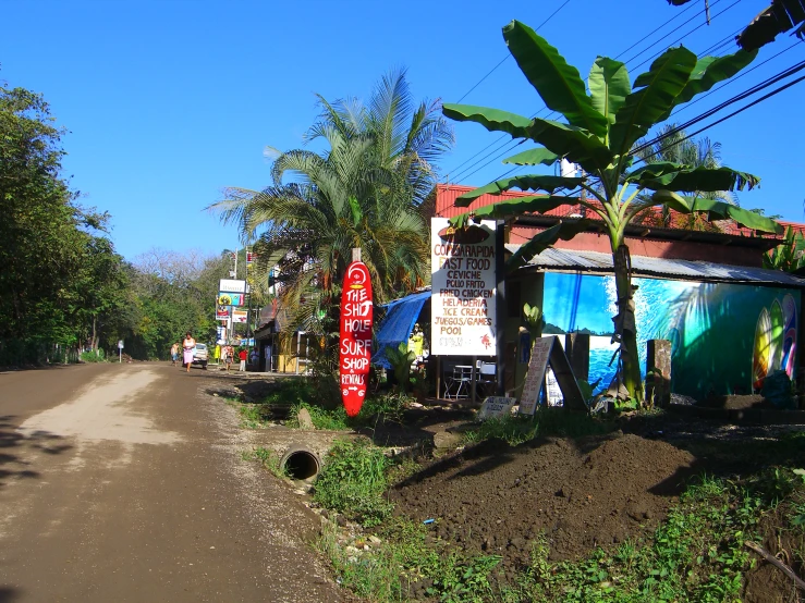 a village road with posters and trees along side