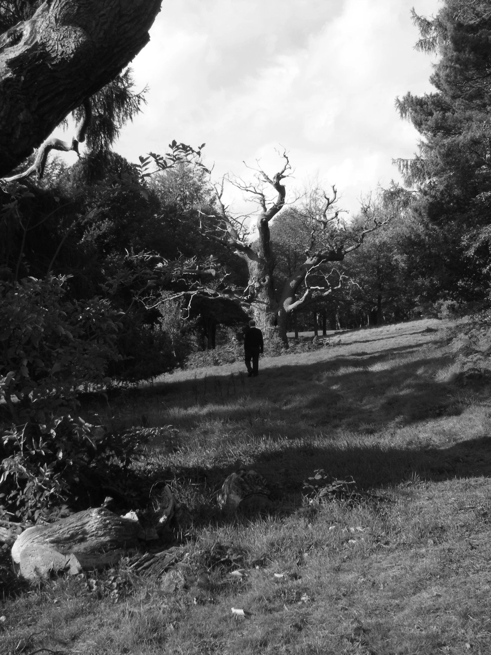 a person that is walking down a grass field