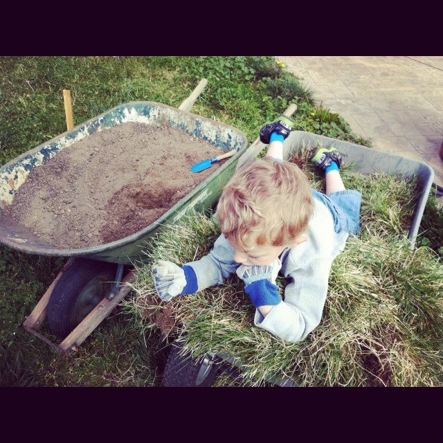 the  is in the wheelbarrow with a rake and shovel