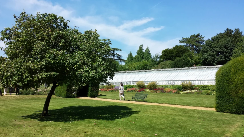 this is a view of a tree and an over sized building with an area for shade