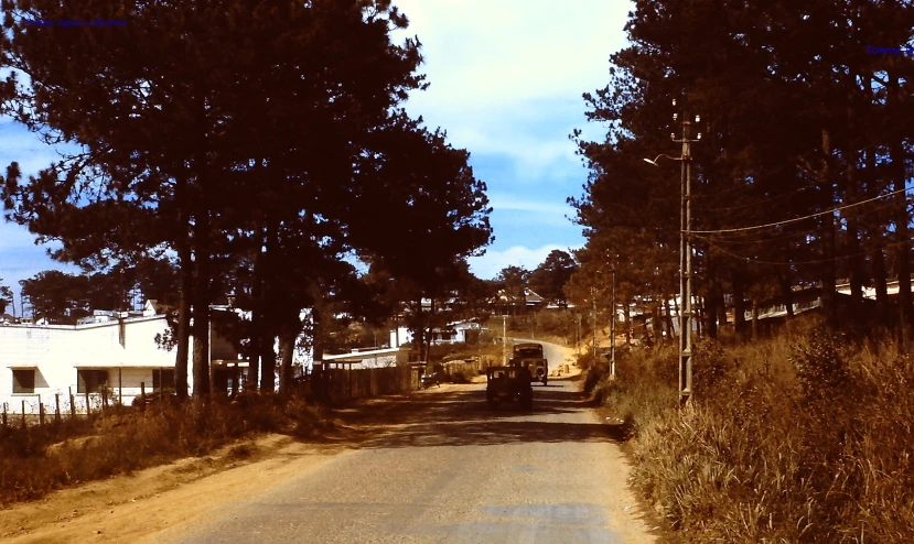 the road that goes to the right in front of some trees