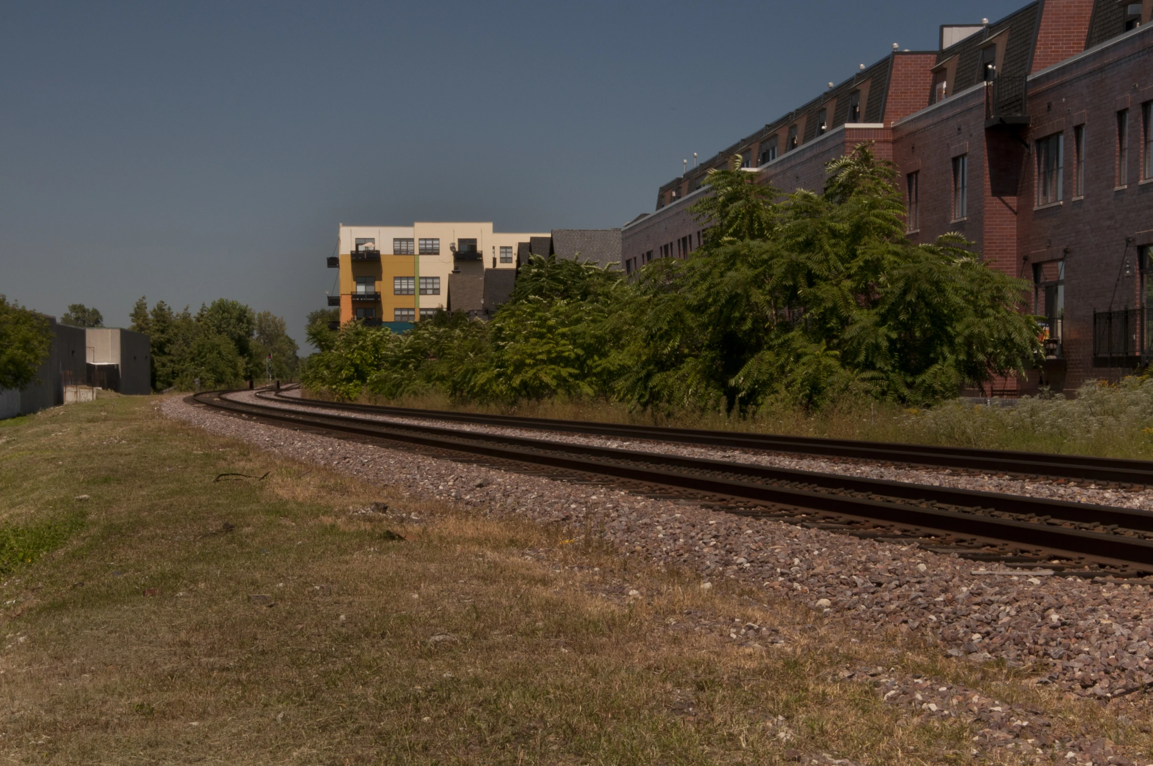 a few train tracks that lead up to the grass