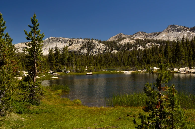 a green field next to a lake with rocks and trees in front of mountains