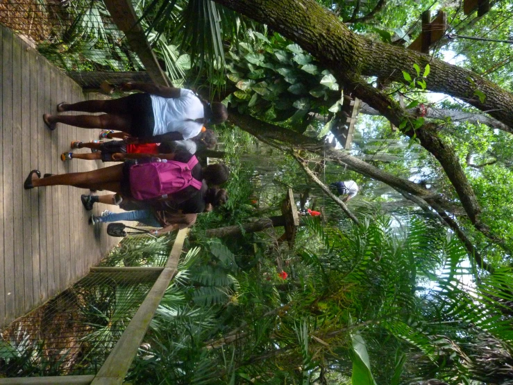 people walking up stairs in a forest like setting