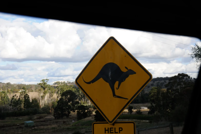 a yellow kangaroo crossing sign with trees in the background