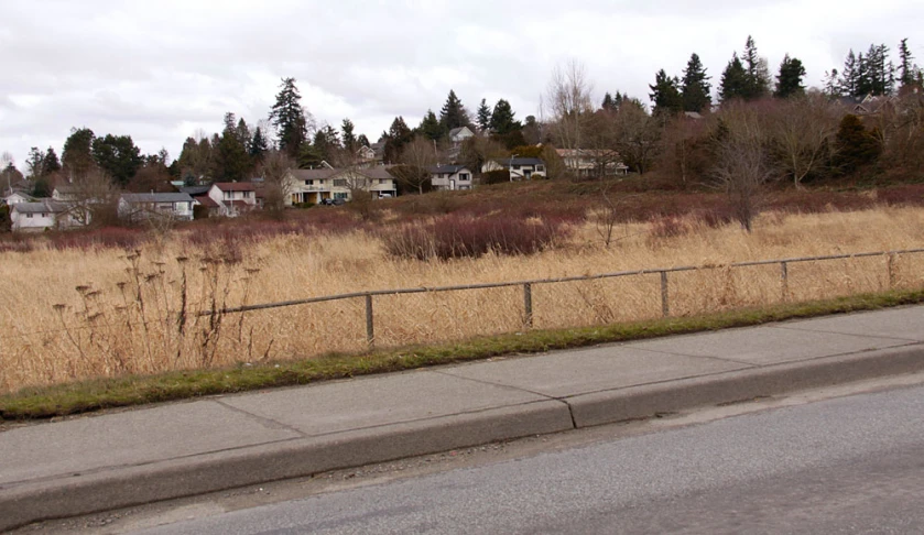 the trees are lined up beside the highway and the houses