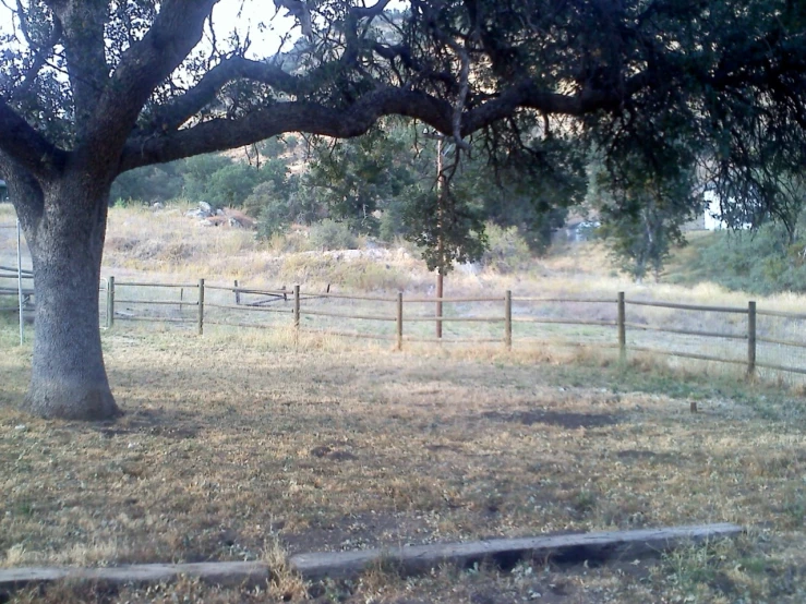 the wooden fence has trees and grass near it