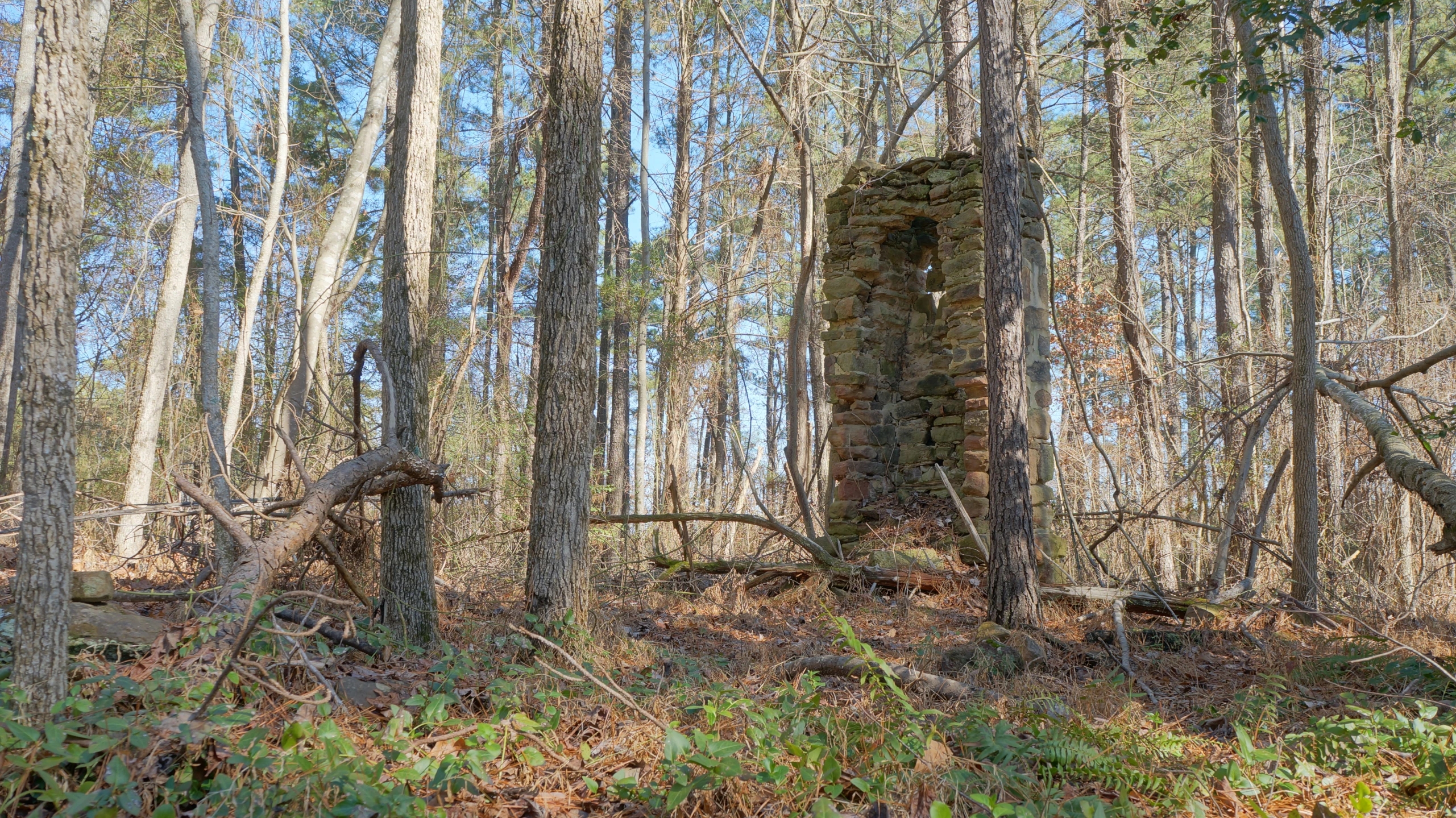 the remains of the old brick house are surrounded by leaves and trees