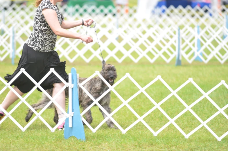 a woman in short skirt walking a dog with a leash