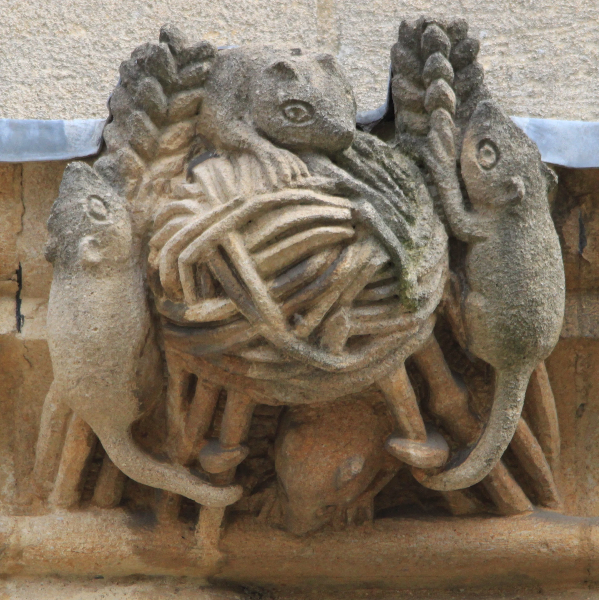 a close up s of the sculpture on a wall