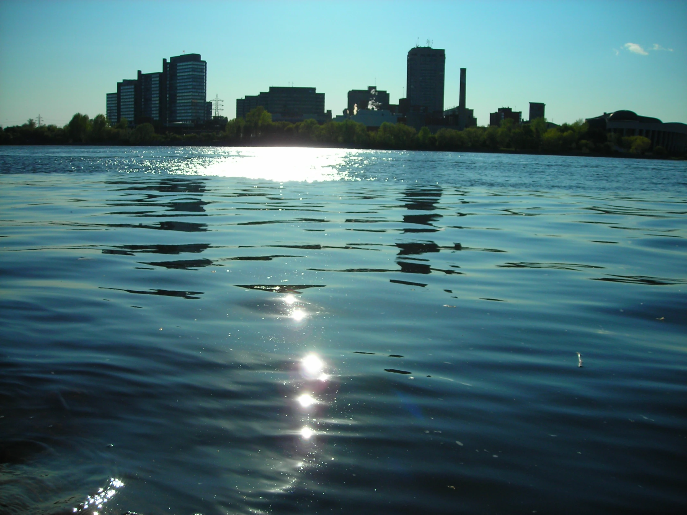 a body of water surrounded by a city skyline