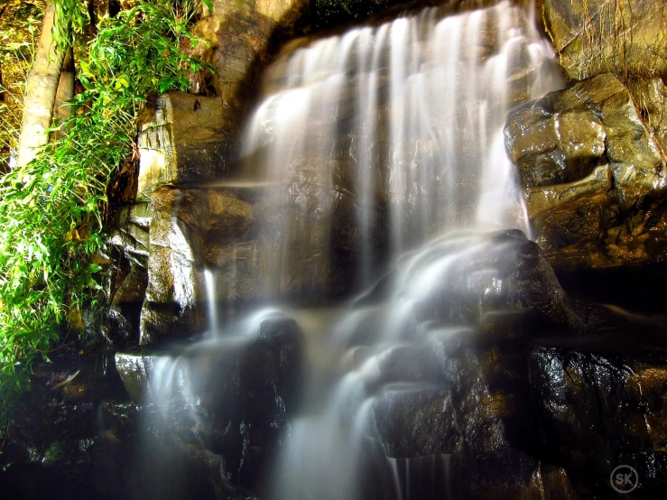 a close up of a waterfall surrounded by lush vegetation