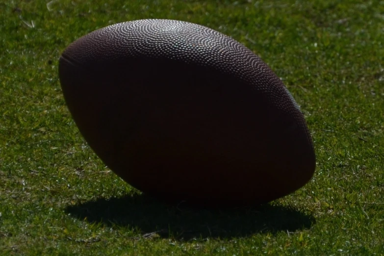 a dark - skinned, worn football sits in the grass