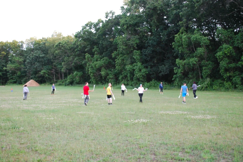 a group of people in the park playing baseball