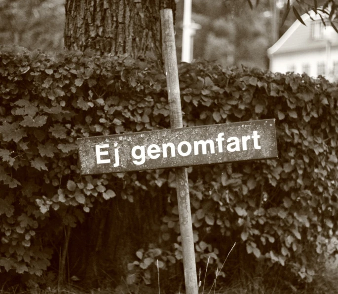 a street sign is standing next to an old tree