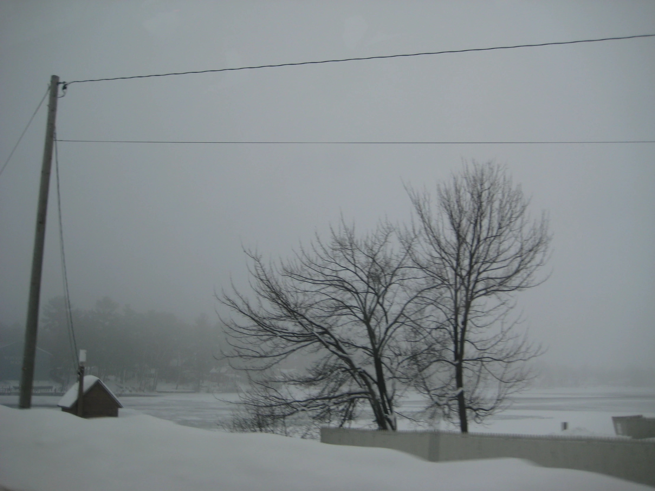 an overcast day in winter time with a street light and telephone pole