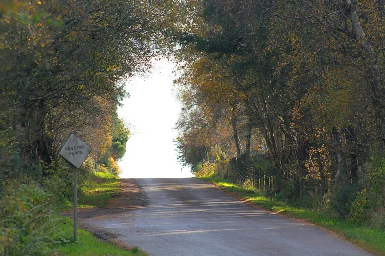an empty road with trees and a sign in the middle