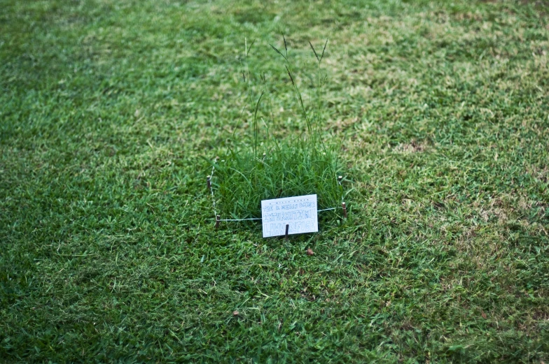 a piece of paper with writing on it in the middle of grass