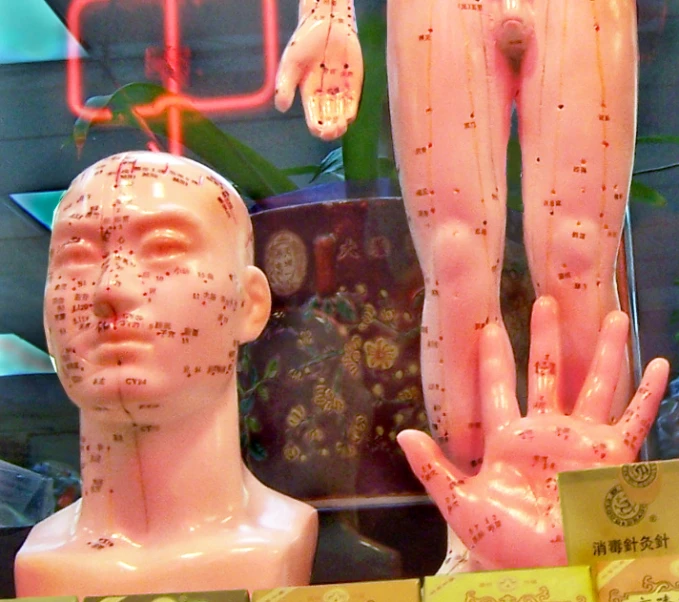 a pair of fake body parts in a display case