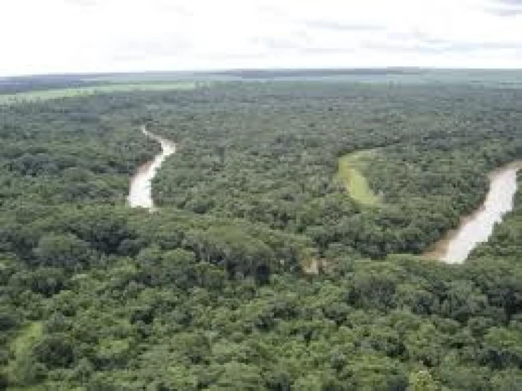 a river that cuts through the middle of a lush green forest