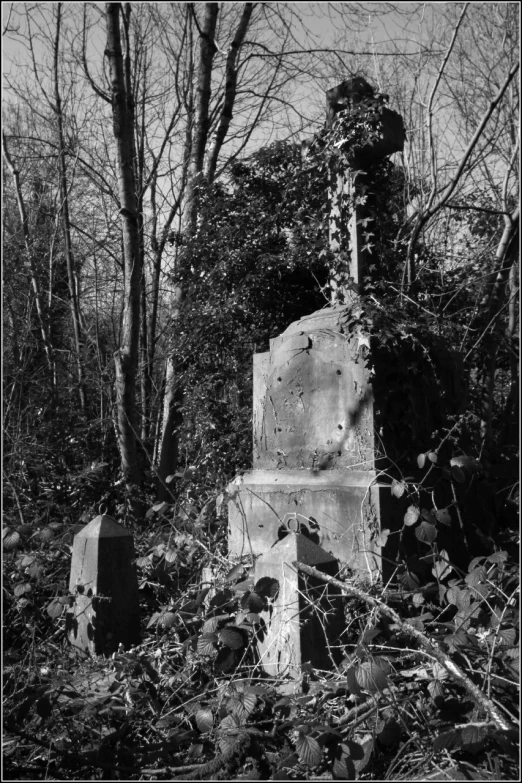 the head and foot pieces of an old cemetery are overgrown