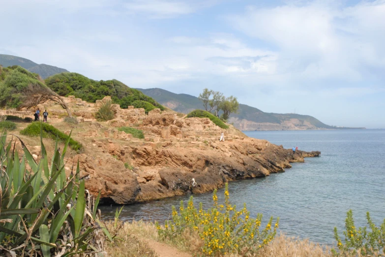 a rocky shore that has vegetation and yellow flowers growing on it