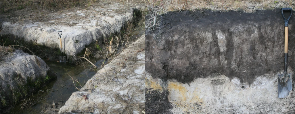 two walls with plants growing from them are next to a creek