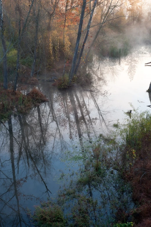 the man is standing on the bridge over looking the water