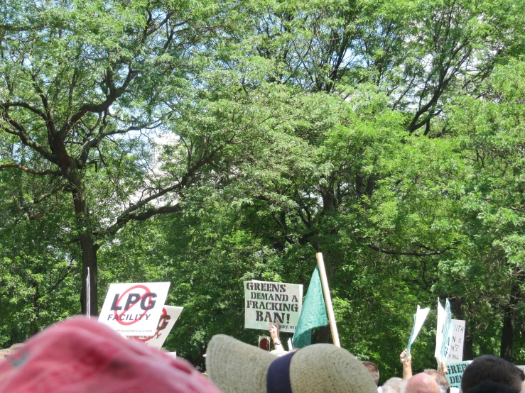 the people are holding signs that read green is not allowed