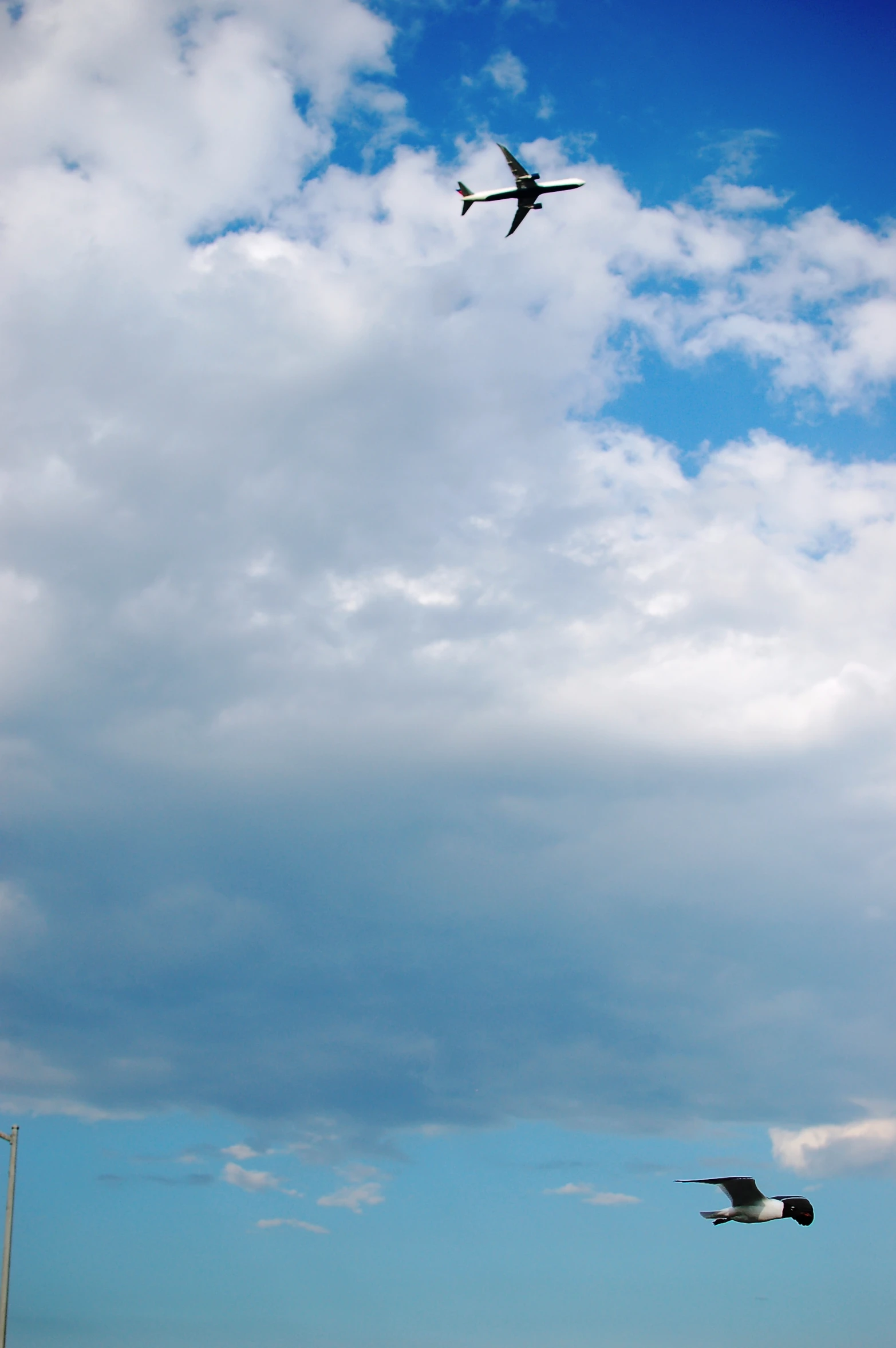 a plane flies in the air on a cloudy day