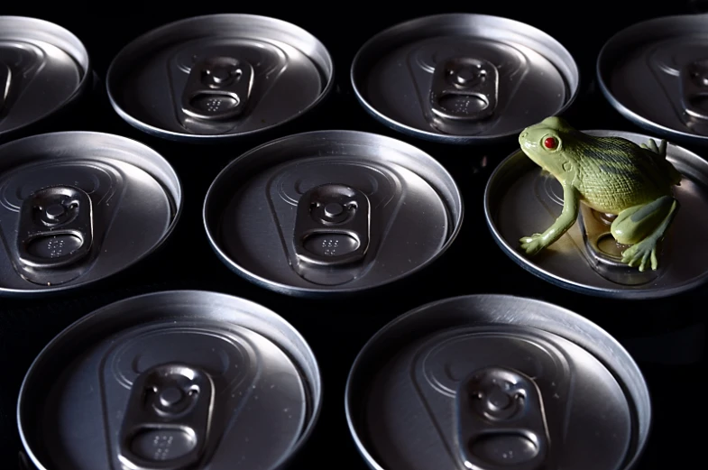 frog sitting in a group of six beer cans