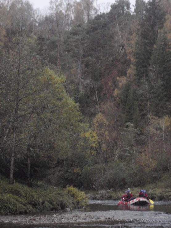 a person in a canoe on a small stream