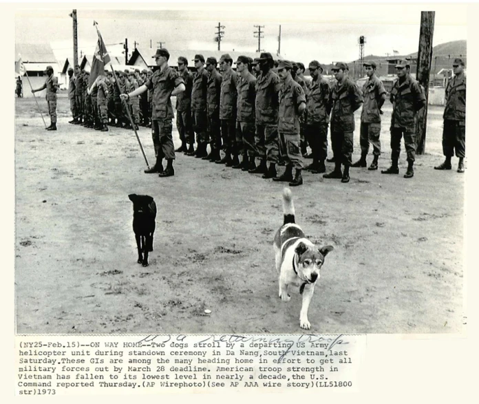 an old po with people and dogs at an event