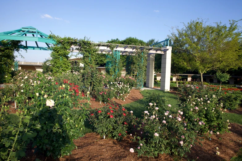 the garden has an array of flowers around it