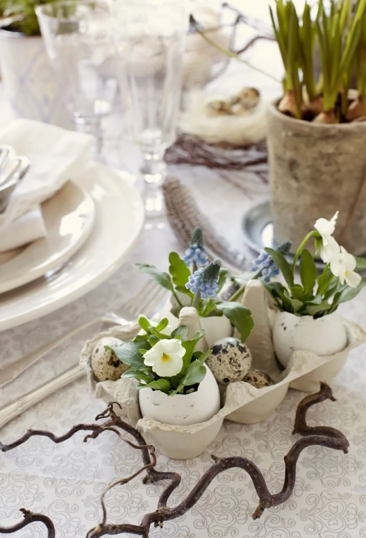 some flowers are growing out of white eggs