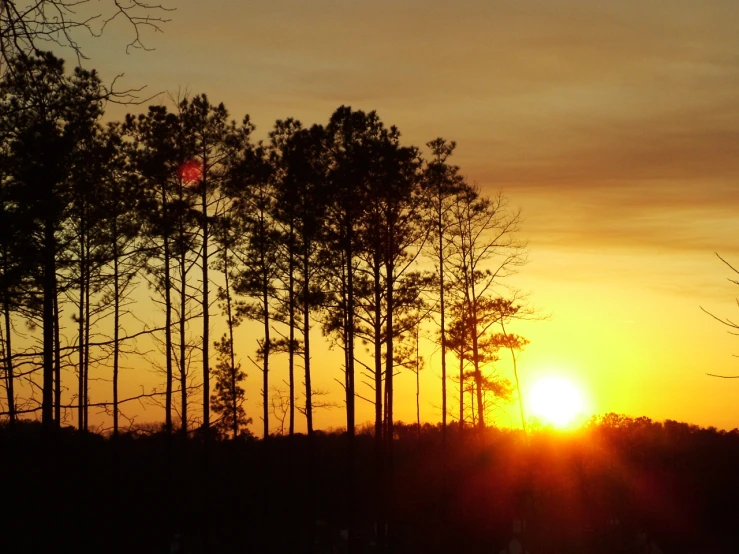 a beautiful sunset with the sun peeking through the trees